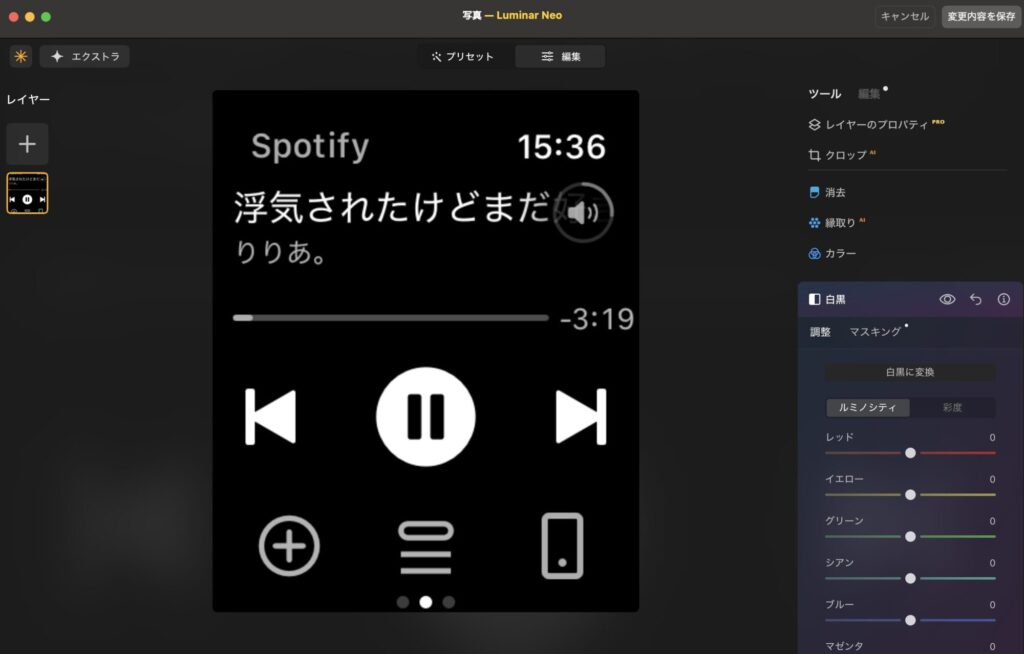 Luminar NEOで白黒変換